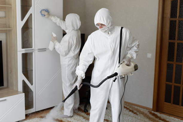 24/7 Emergency Odor Removal experts in Henderson, TX